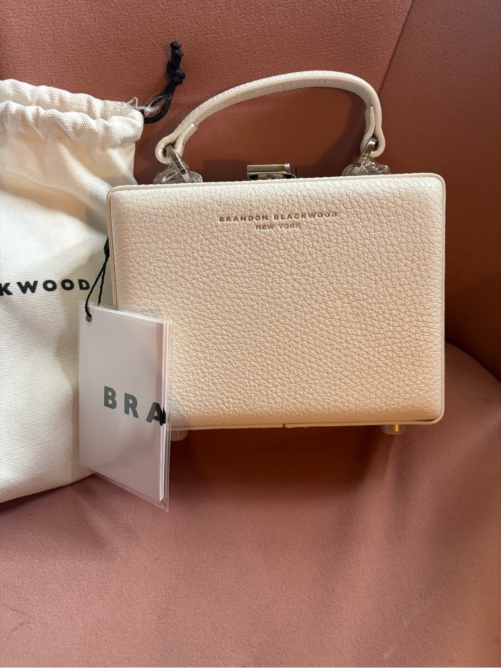 Brandon Blackwood New York White Mini Trunk Top-Handle Bag